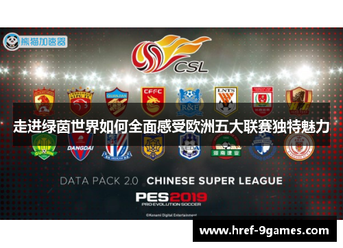 走进绿茵世界如何全面感受欧洲五大联赛独特魅力
