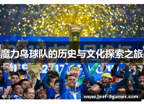 魔力鸟球队的历史与文化探索之旅