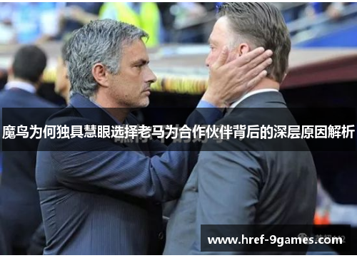 魔鸟为何独具慧眼选择老马为合作伙伴背后的深层原因解析